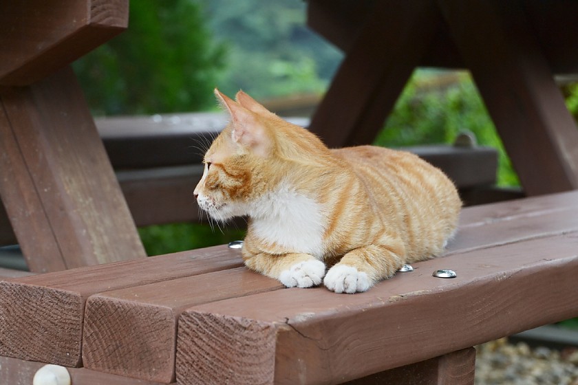 DSC_0116.jpg