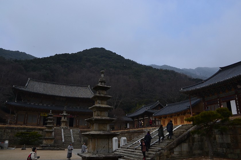 DSC_0026.jpg