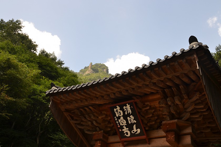 DSC_0485.JPG