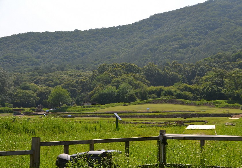 DSC_0232.jpg