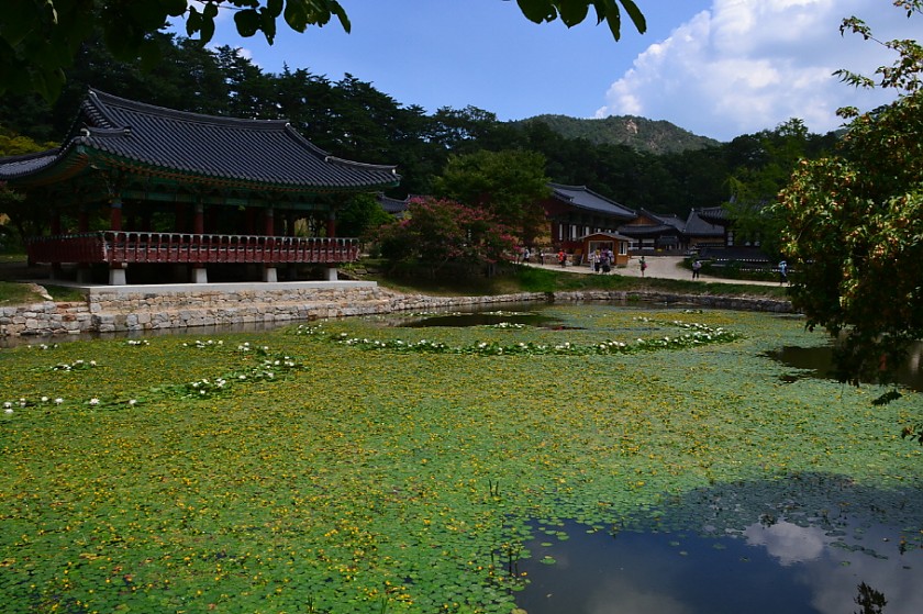 사진 203.jpg